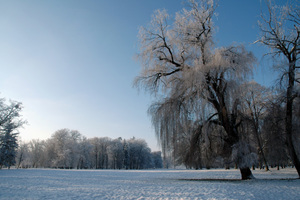 park v zimě